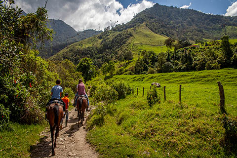 A stock photo of a Cocoa Valley in Colombia.