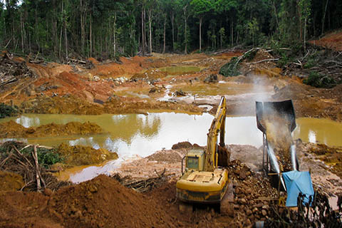 A photo of rain forest destruction in Guyana.