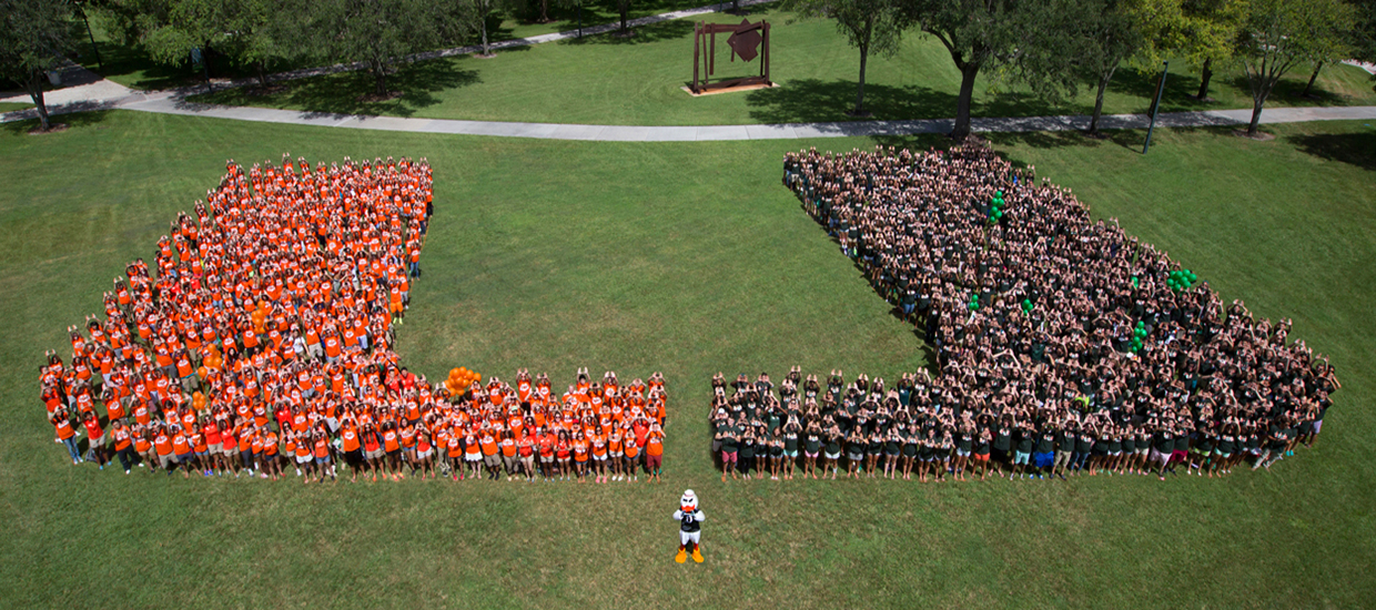 An aerial photo of the U.